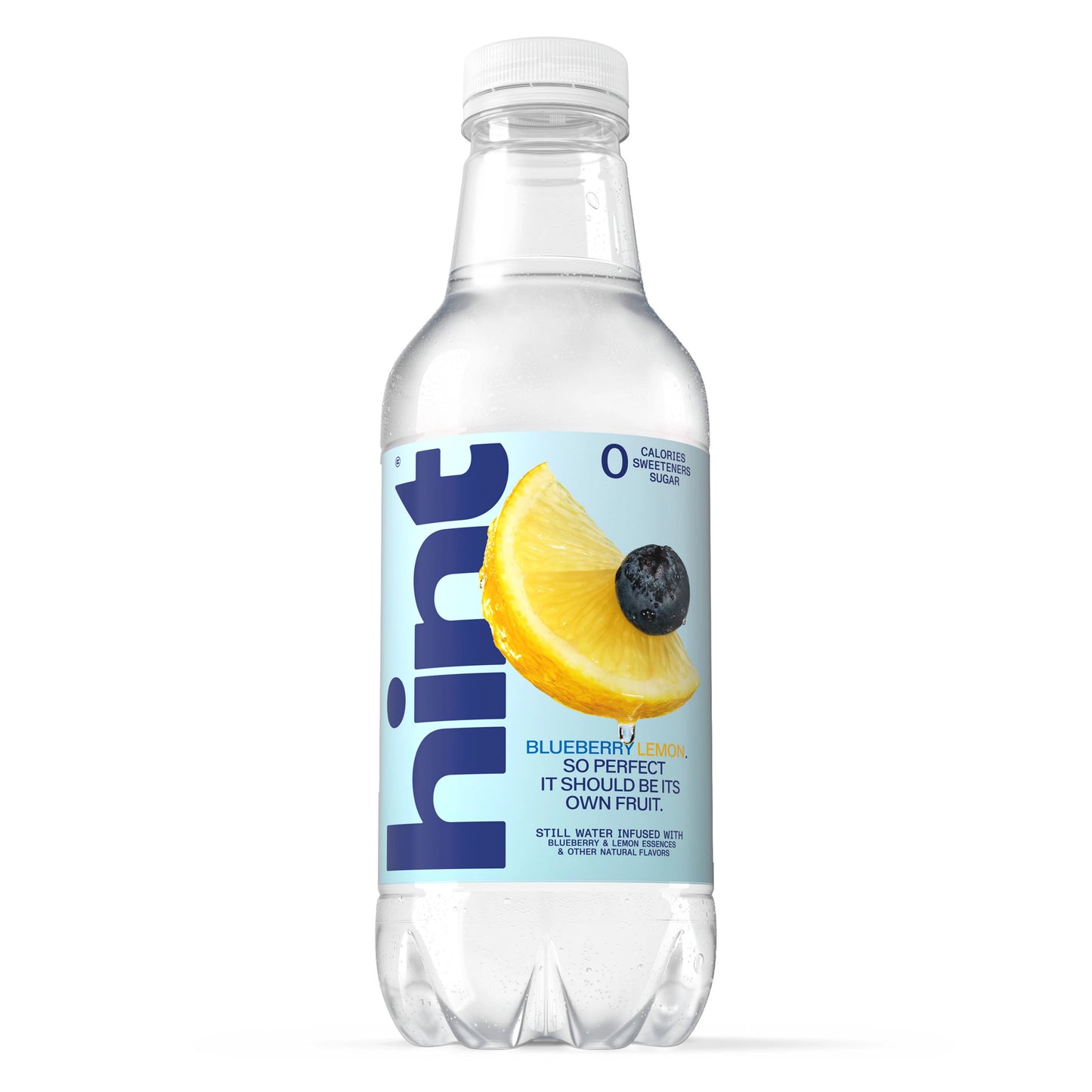 Hint Blueberry Lemon Water 16 fl. oz. single bottle