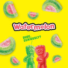 Sour Patch Kids Watermelon Soft & Chewy Gummy Candy, 24 pk./2 oz. – alternate product view 4