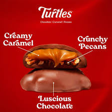 Demet's Turtles Original Pecan, 17.5 oz. Bag – alternate product view 3