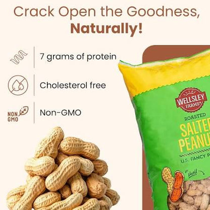 Wellsley Farms Salted & Roasted In-Shell Peanuts, 5 lb. – alternate product view 4