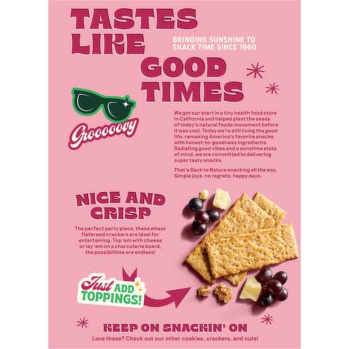 Back to Nature Pink Himalayan Salt Flatbread Crackers, 5 oz.