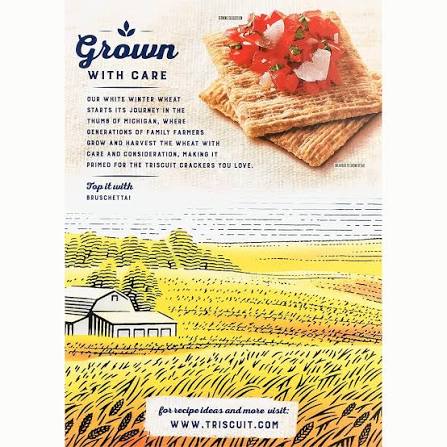 Triscuit Roasted Garlic Crackers Family Size, 12.5 oz.