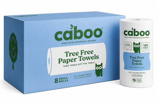Caboo Bamboo Paper Towels, 2-ply, 120 Sheets, 8 Rolls