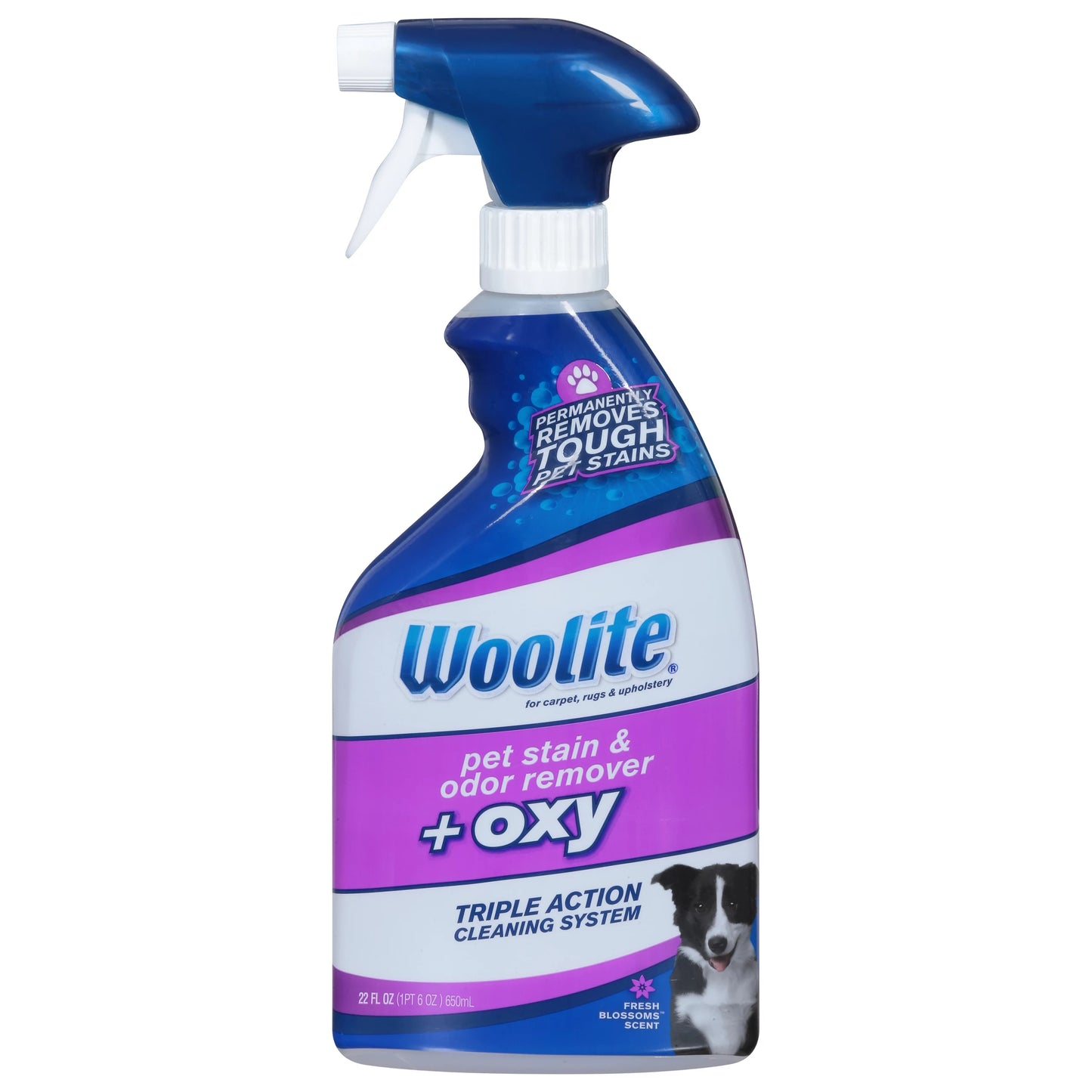 Woolite Pet Stain & Odor Remover, + Oxy, Fresh Blossom Scent 22 fl. oz.