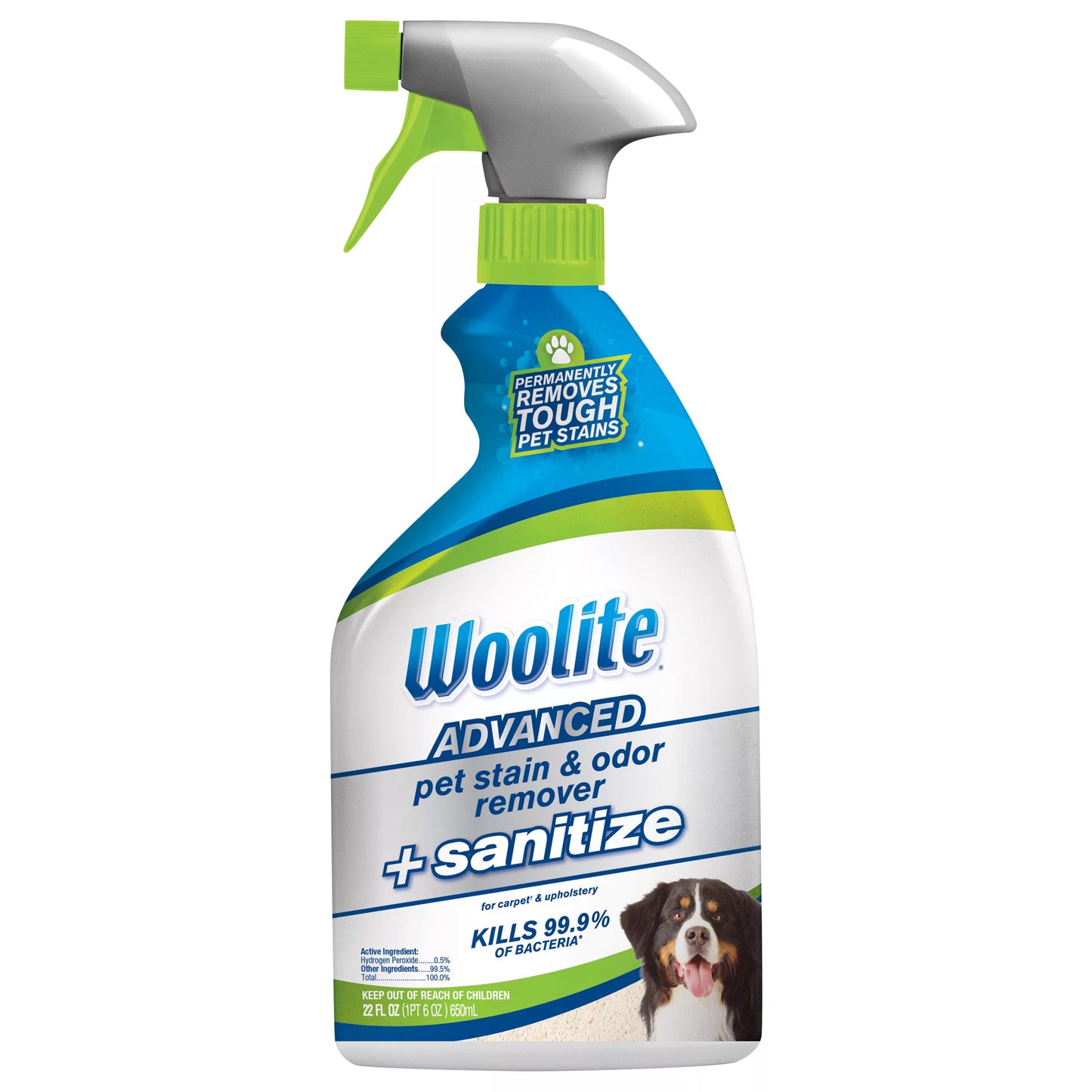 Woolite Pet Stain & Odor Remover, + Sanitize, Advanced 22 fl. oz.