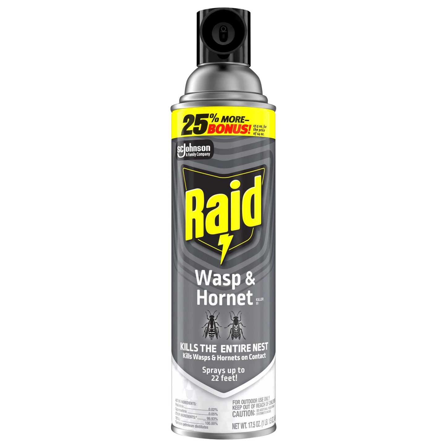 Raid Wasp & Hornet Killer, Outdoor Flying Insect Spray, 17.5 oz 17.5 ounce